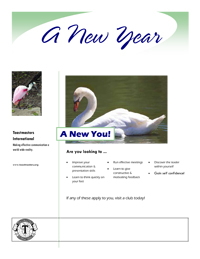 A New Year ,,, A New You